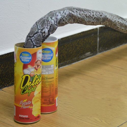 Canettes De Pommes De Terre Magique Pour Halloween, Serpent, Tours De Farces, Frites Effrayantes, Jouets Amusants, Mignon, Amusant, Jouet Anti-Stress Pour Enfants, Cadeau Pour Se Détendre