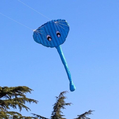 Cerf-Volant Géant Pour Enfants Et Adultes, Avec Logiciel De Sport Amusant En Plein Air, Deux Lignes, Dessin Animé, Éléphant, Animaux, Cadeaux