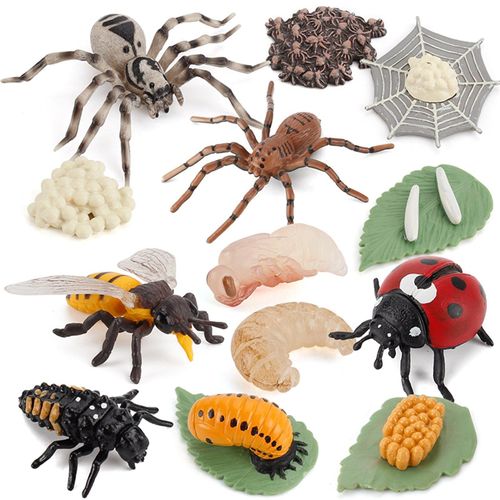 Figurines De Simulation De Cycle De Croissance Des Insectes Pour Enfant, Système De Vie Des Papillons, Coccinelles, Abeilles Et Araignées, Matériel Pédagogique, Jouet Éducatif,