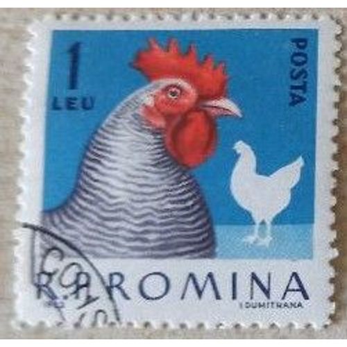 Timbre Oblitéré Roumain De 1963, R.P. Romina, Coq À La Crête Rouge, Posta 1 Leu. Illustration De Dumitrana.