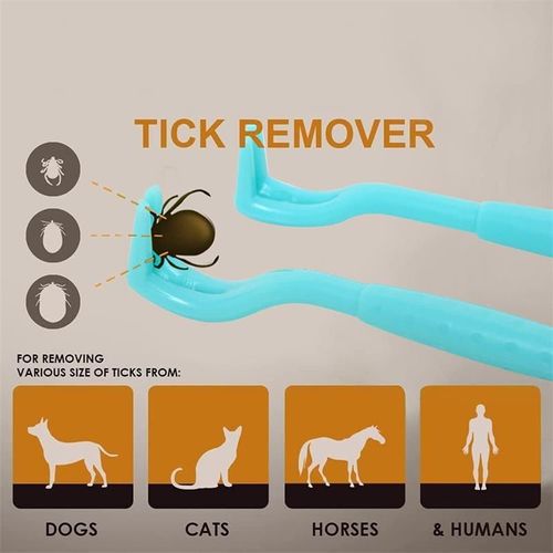 Crochet Antipuces À Torsion, Accessoires Pour Animaux De Compagnie, Accessoires Pour Chiens Et Chats, Fournitures Pour Enlever Les Tiques À La Maison, 3 Pièces/Ensemble
