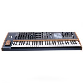 Polybrute