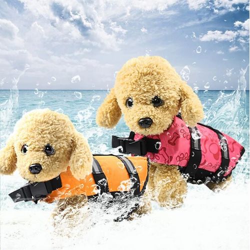 Maillot De Bain Pour Chien, Gilet De Sauvetage Pour Animaux De Compagnie, Fournitures Pour L'?T?, Taille Chien