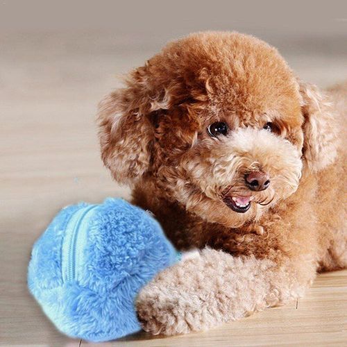 Robot De Nettoyage Électrique À Boule Roulante, Nettoyeur Automatique De Poussière, Aspirateur De Sol, Outil De Nettoyage De Boule En Microfibre, Jouet Pour Animaux De Compagnie