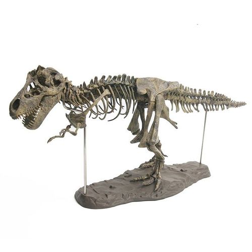 Puzzle De Squelette De Dinosaure Montessori 3d Créatif, Puzzle Éducatif, Kits De Jouets Pour Enfants