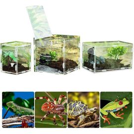 Boîte D'élevage De Reptiles, Réservoir En Acrylique, Terrarium, Araignée, Lézard, Scorpion, Amphibie, Accessoires Respirants Pour Reptiles