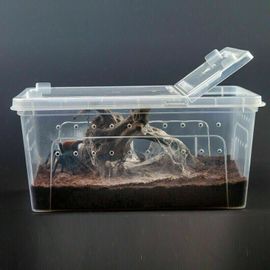 Grande Boîte En Plastique Transparente Pour Animaux De Compagnie, Avec Bol D'alimentation, Pour Reptiles, Insectes, Transport De Terrarium, Élevage, Nourriture, Fournitures Pour Animaux De Compagnie