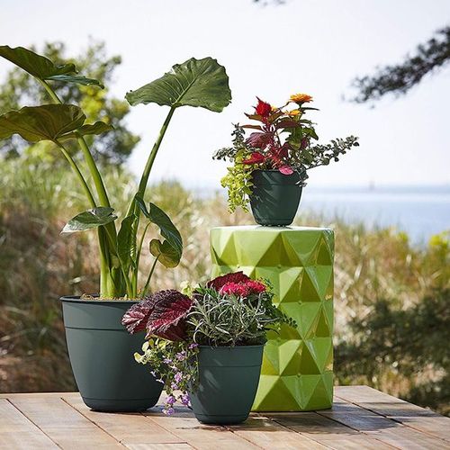 POT DE JARDINAGE EN PLASTIQUE RECYCLÉ VERT