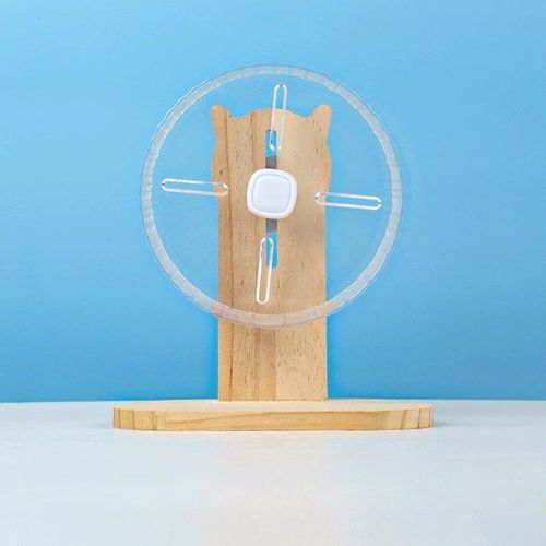 Roues De Course Pour Hamsters En Acrylique,Course Transparente,Rouleaux D'exercice Silencieux,Roues Agrandies,Jouets Golden Bears,Kasgehogs - Type 17cm Wood Set