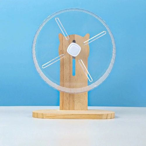 Roues De Course Pour Hamsters En Acrylique,Course Transparente,Rouleaux D'exercice Silencieux,Roues Agrandies,Jouets Golden Bears,Kasgehogs - Type 21cm Wood Set