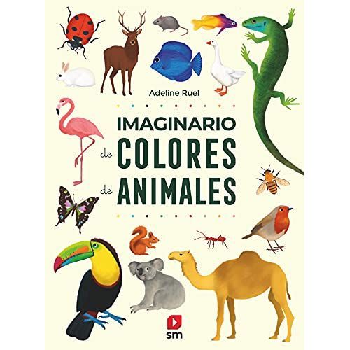 Imaginario De Colores De Animales