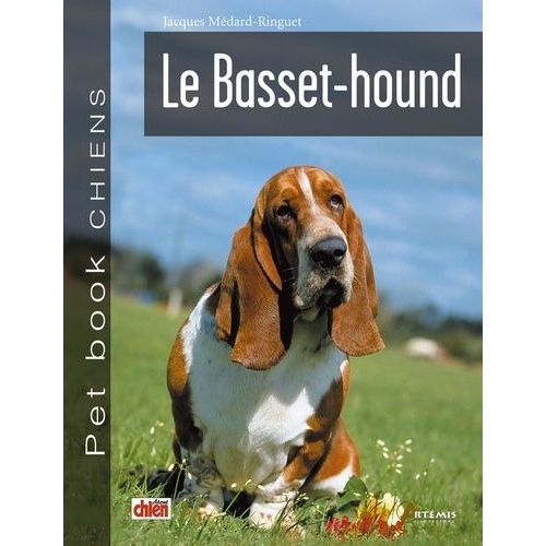 Le Basset-Hound