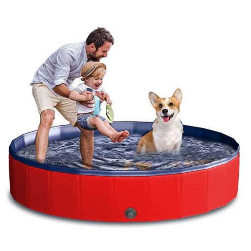 Piscine pliable pour animaux domestiques, baignoire pour chiens, bassin pour