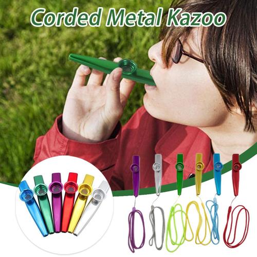 Kazoo En Métal Avec Corde Pour Débutant, Instrument De Flûte, Amoureux De La Musique, Instrument À Vent, Design Simple, Portable