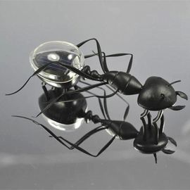 Jouet De Simulation D'énergie Solaire Pour Enfants, Puzzle Scientifique Environnementale, Petite Fourmi, Abeille, Homard, Crabe, Nouveauté 2021