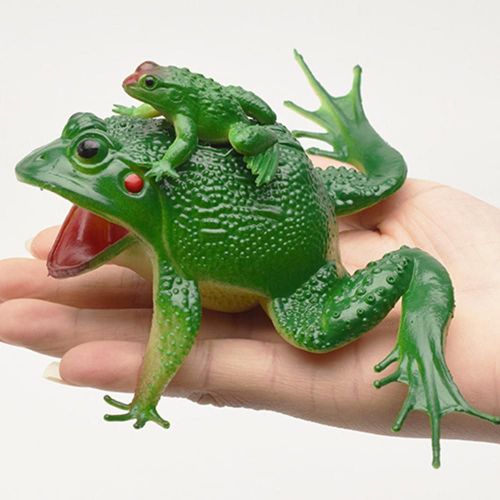 Jouet De Simulation De Grenouille Sonore Pour Enfants, Texture Claire, Puzzle, Accessoires Délicats