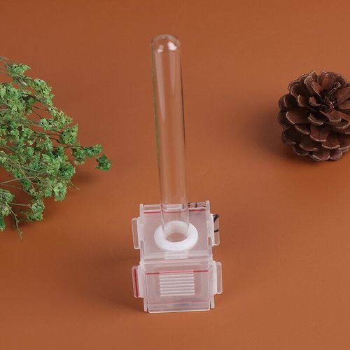 Nid D'insectes En Acrylique, Tube En Verre Transparent Fourmi Distributeur D'eau, Avec Zone Active, Ferme, 4x4x4cm