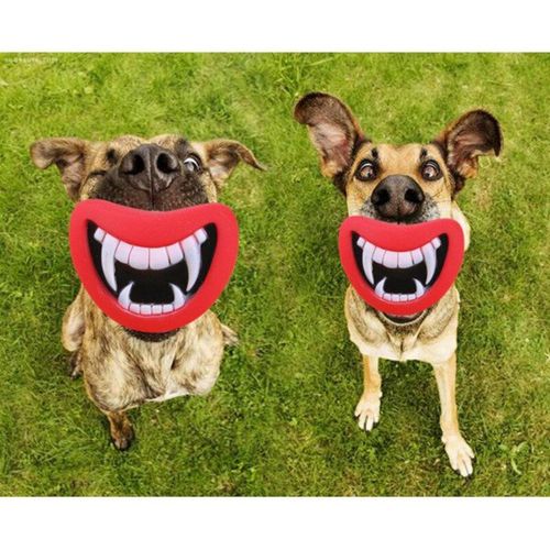 Jouet Hyène Amusant, Lèvres Du Diable, Son Du Chien, À Mâcher Molaire, Chiot, Aboiement, Fournitures D'entraînement Pour Animaux De Compagnie, 2021