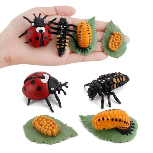 Figurines De Cycle De Croissance En Plastique, Jouet Éducatif Pour Enfants, Simulation D'animaux, Abeille, Coccinelle, Araignée, Cycle De Vie, Modèles D'action