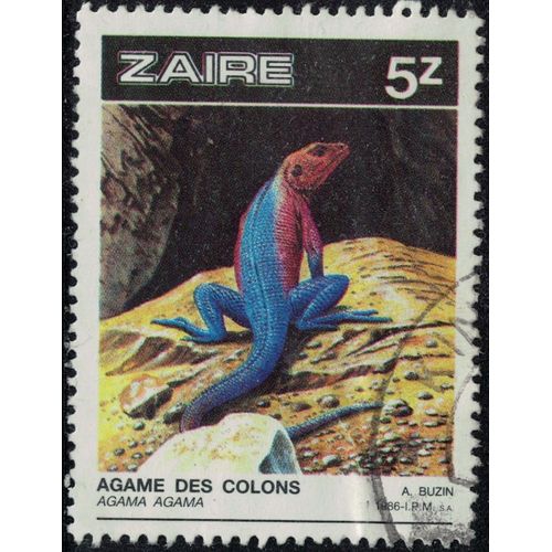 Zaïre 1986 Oblitéré Used Reptile Saurien Agama Agama Agame Des Colons Y&t Cd 1239 Su