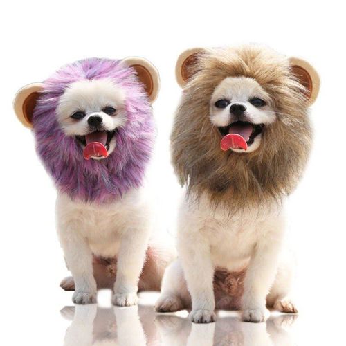 Perruque D'halloween Pour Chien Lion Crinière, Déguisement De Noël Pour Chien, Déguisement De Fête Fantaisie, Cosplay, Chapeau Amusant