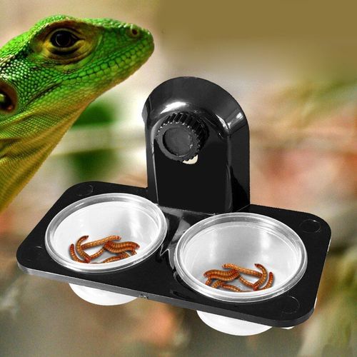 Pot De Terrarium Stable Et Durable En Abs, Bol D'alimentation En Eau Et Nourriture Pour Reptile, Support De Boîte D'élevage