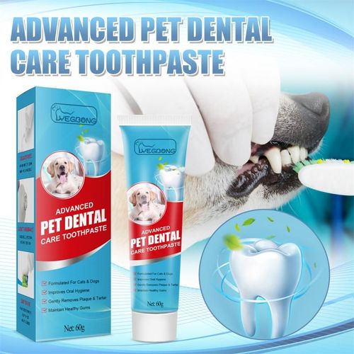 Dentifrice Enzyme Pet Pour Chiens, 60g, Aide À Réduire Le Tartre Et La Plaque Dentaire, Fournitures De Soins Buccaux