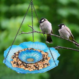 Mangeoire oiseaux extérieur à suspendre pour oiseaux sauvages pour jardin  balcon Distributeur de graines «325 Cabane marron-vert