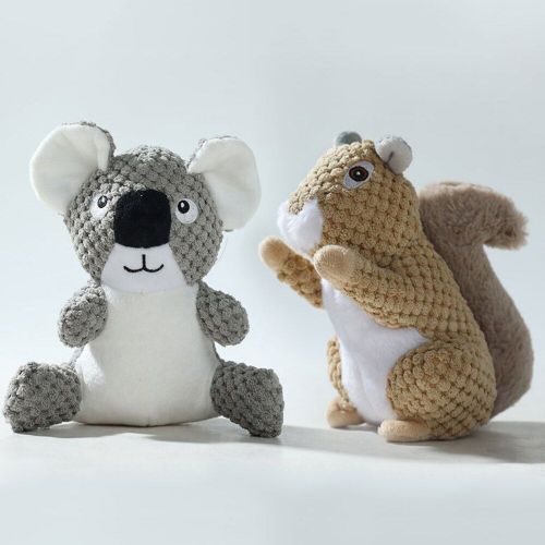 Jouet En Peluche Koala Écureuil Amusant, Petit Et Grand Chien Couinant, Interactif, Résistant Aux Morsures, Accessoires Pour Animaux De Compagnie, Fournitures
