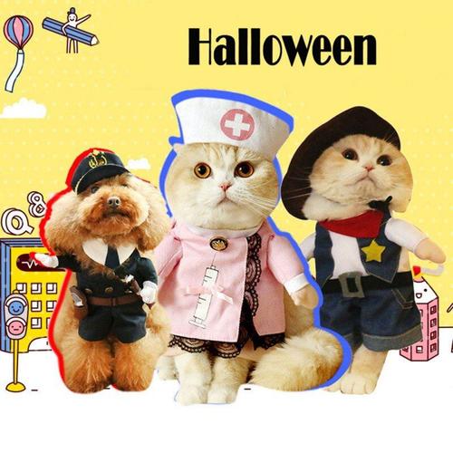 Vêtements D'halloween Pour Chiens, Costume De Noël Amusant, Chiot, Manteau Pour Petits Chiens, Animaux De Compagnie, Chihuahua