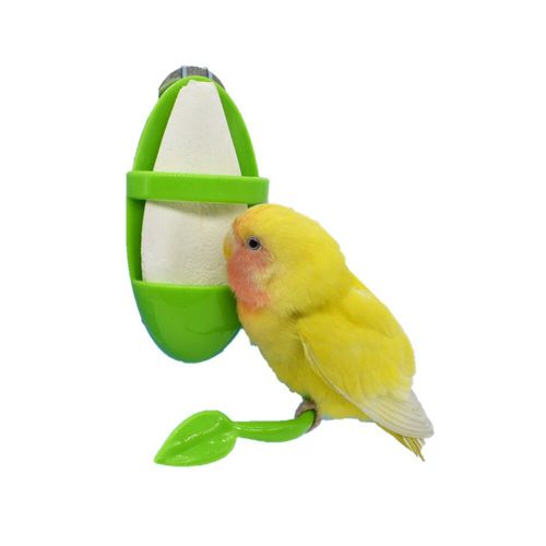 Mangeoires Pour Animaux De Compagnie, Perroquets, Seiche, Os, Récipient Alimentaire En Plastique, Support Pour Oiseaux, Cage D'alimentation, Jouet