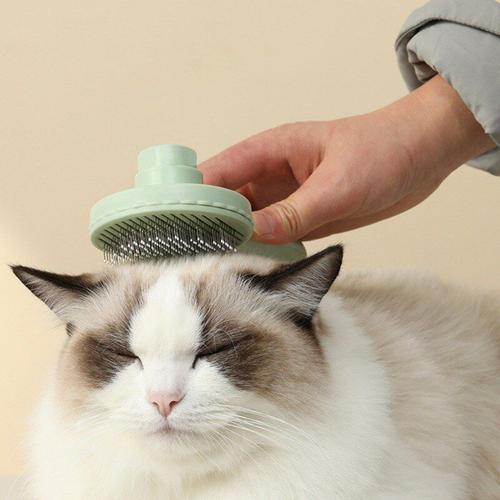 Generic Brosse toilettage autonettoyante pour chats et chiens, brosse de poils  animaux à prix pas cher