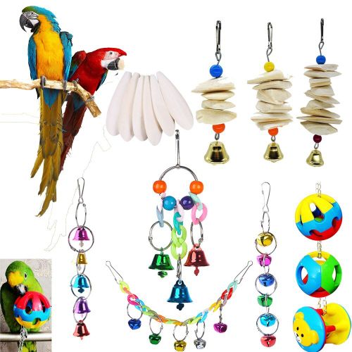 Os De Seiche En Forme De Cloche Suspendue, Perruche, Calopsitte, Poisson, Oiseau, Nourriture, Jouet Pour Animaux De Compagnie