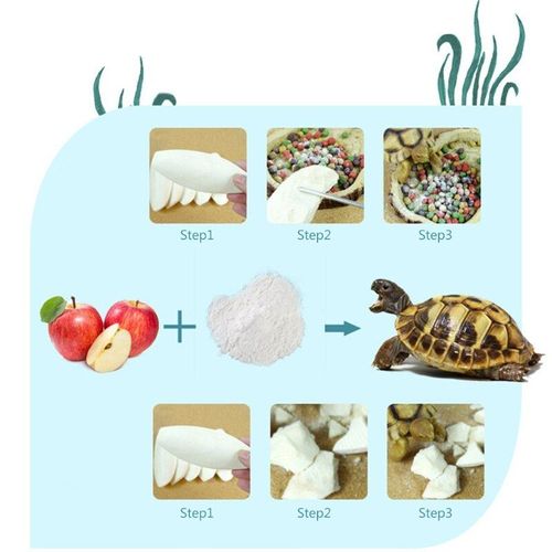 Tortue De Reptile, Minéraux De Calcium, Os De Seiche, Alimentation Des Oiseaux, Bloc D'os De Seiche E7cb
