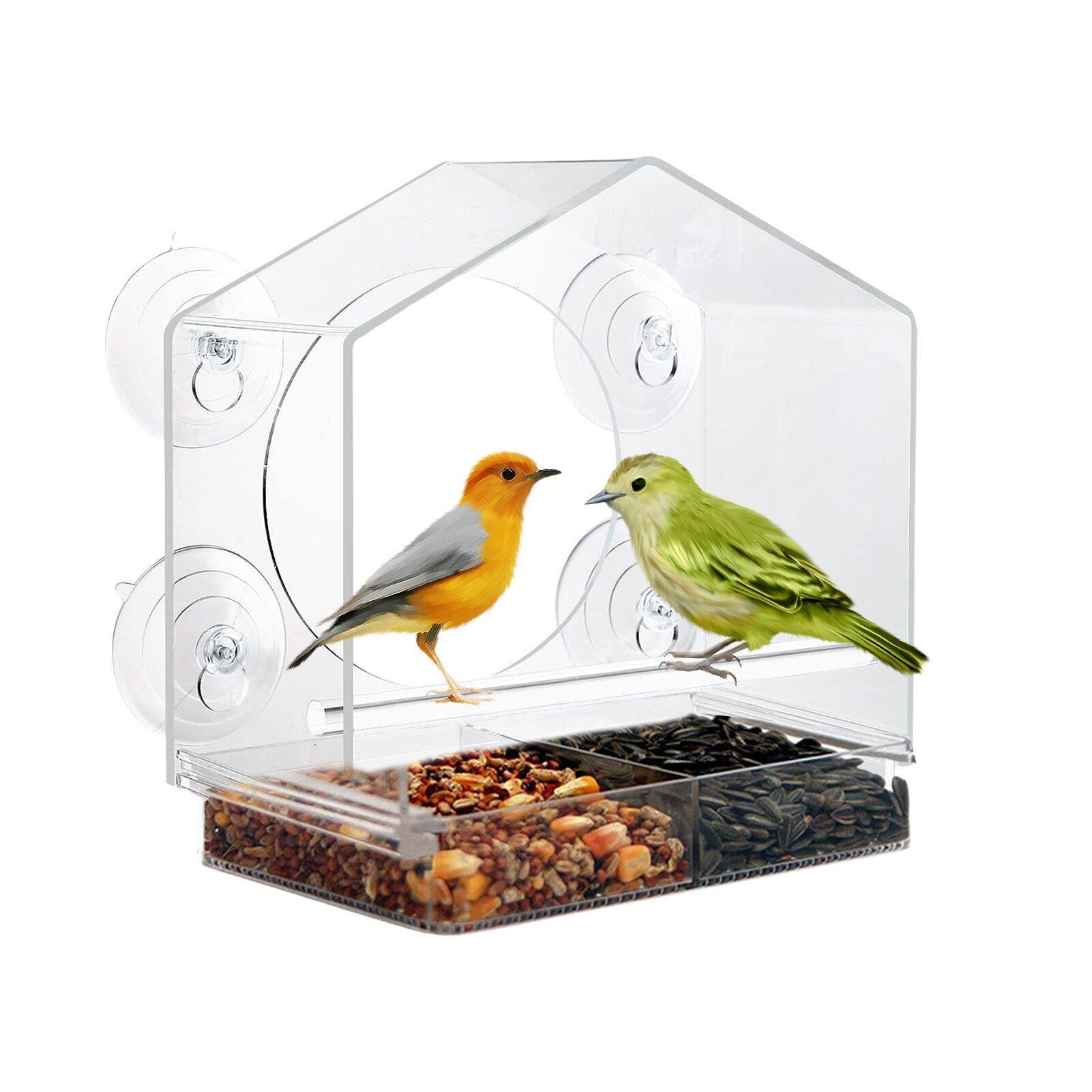 Mangeoire à oiseaux, lot de 4, Distributeur nourriture, acrylique