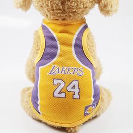 Maillot de basket Boutique du supporter L.A. Lakers pas cher - Neuf et  occasion à prix réduit