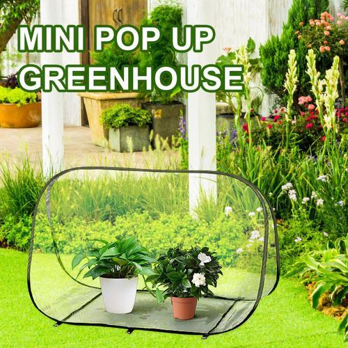 Serre Pop-Up Avec Couvercle Transparent En Pvc, Petite Tente De Culture De Plantes, Abri De Fleurs Portable Pour Jardin
