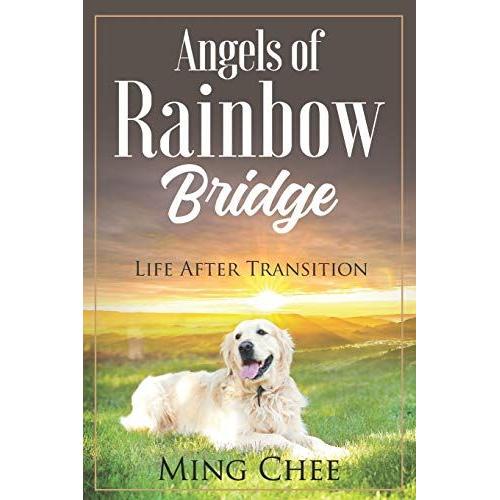 Angels Of Rainbow Bridge: Life After Transition