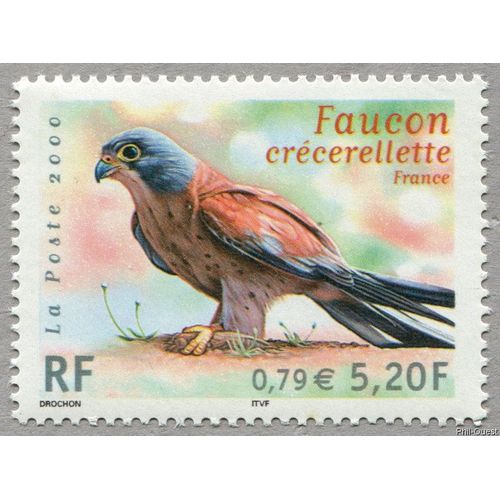 France 2000, Tres Beau Timbre Neuf** Luxe Yvert 3361, Emission Commune France - Nouvelle-Zelande Faune En Voie De Disparition Faucon Crecerellette.