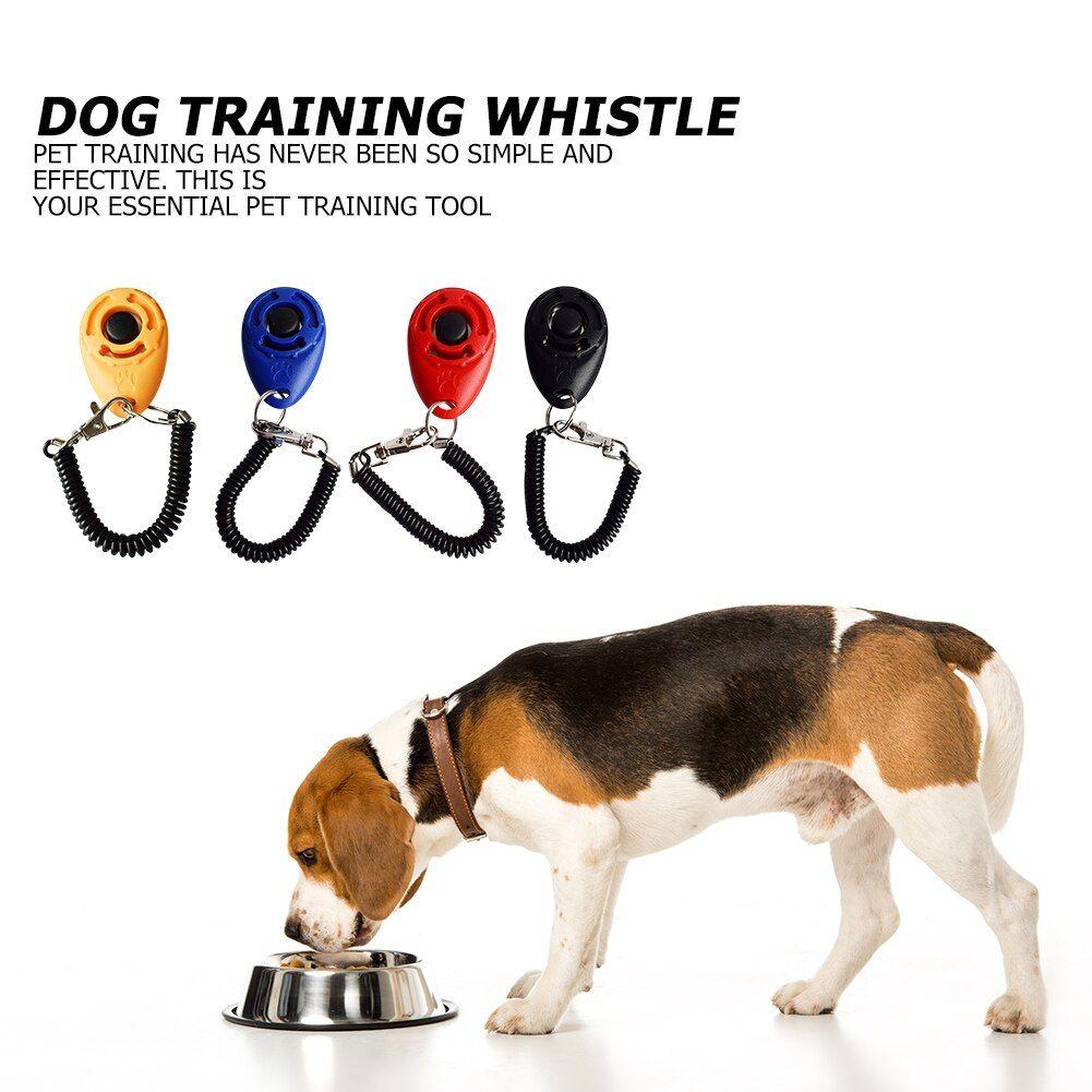 Dispositif d'entraînement pour animaux domestiques, outil de guidage de  sifflet, produits pour chiens, Clicker, aide au dresseur pour animaux  domestiques, accessoires pour chiens