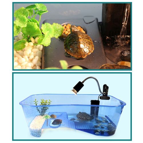 Boîte Vivarium Pour Reptile, Tortue Avec Rampe De Bassin, Aquarium, Accessoires Pour La Reproduction Des Animaux
