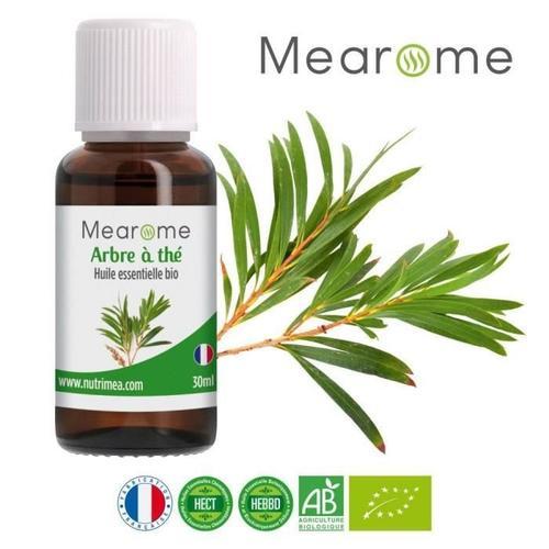 Tea Tree (Arbre À Thé) ? Huile Essentielle Bio 30 Ml ? Huile Essentielle Chémotypée Hebbd Bio 100% Pure Et Naturelle 