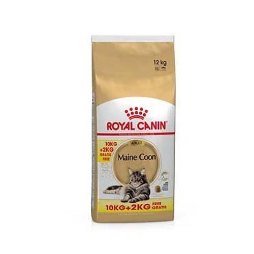 Croquette Pour Chat Royal Canin Maine Coon Adult