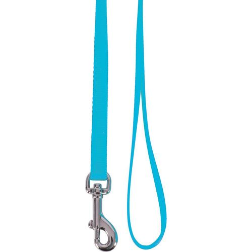 Laisse Nylon Chat Turquoise