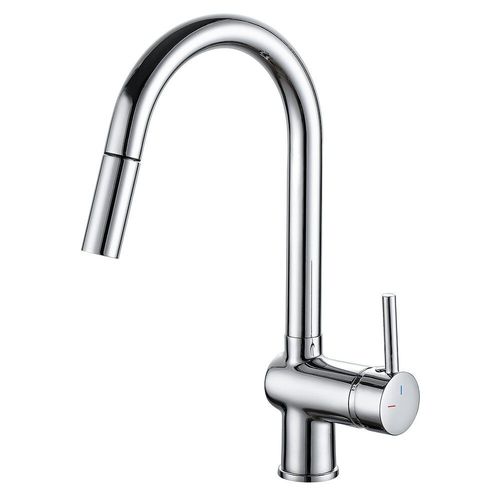 Mitigeur évier FRIBOURG EXTRACTIBLE chromé