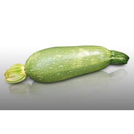 15 Graines À Semer - Le Grenier D'abondance - Courgette Verte Petite D'alger - Cucurbita Pepo