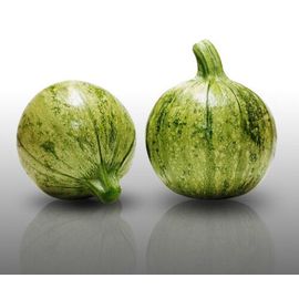 25 Graines À Semer - Le Grenier D'abondance - Courgette Ronde De Nice - Curcubita Pepo