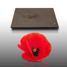 200 Graines De Fleurs À Semer - Le Grenier D'abondance - Coquelicot - Papaver Rhoeas
