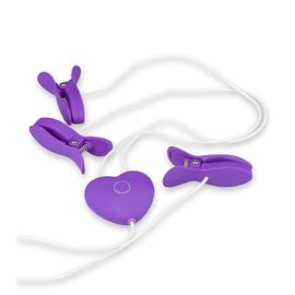 Pinces À Tétons Et Clitoris Vibrantes Kim