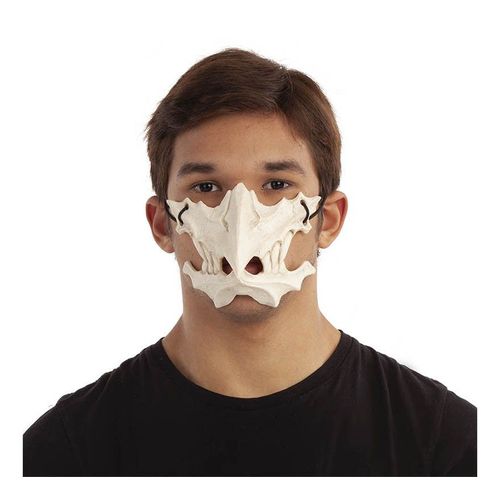 Visage Masque Animal Moitié Bouche Fermée Squelette